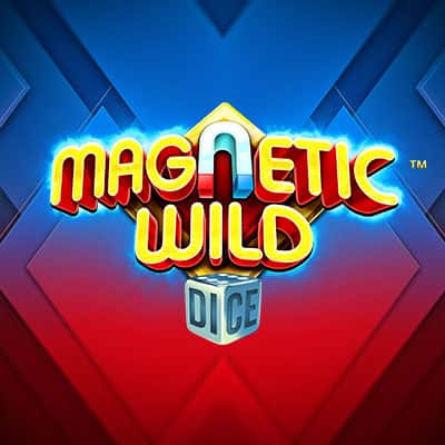 Magnetic Wild Dice